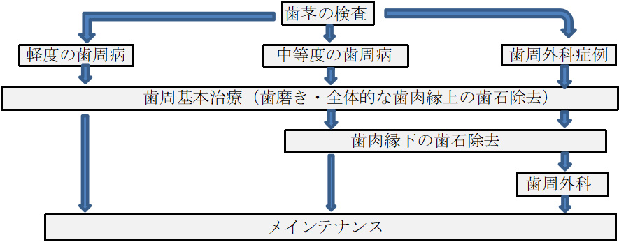 歯周病治療の流れ